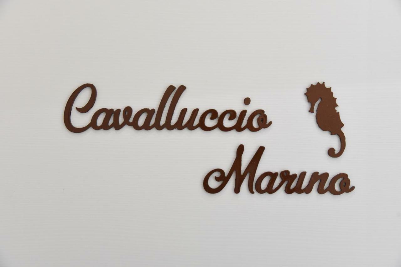 B&B Victoria Porto Cesareo Zewnętrze zdjęcie